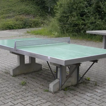 Ferienhaeuser Meiss - Schwarzwald Ofingen