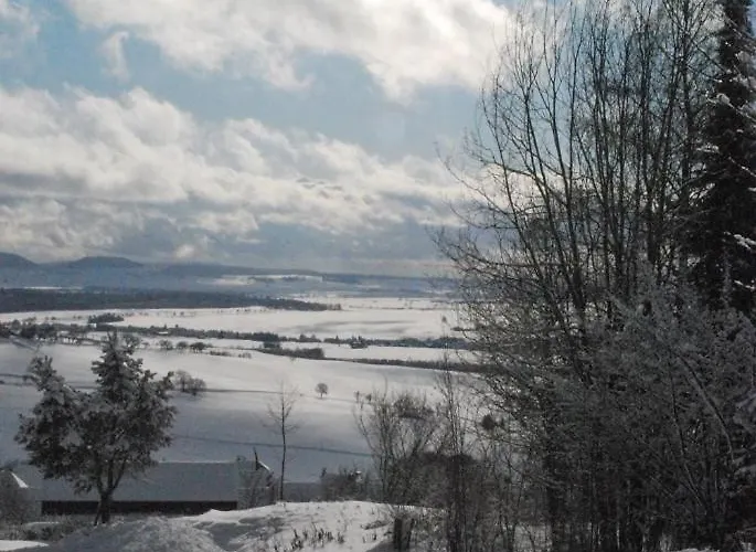 Дом отдыха Meiss Ofingen