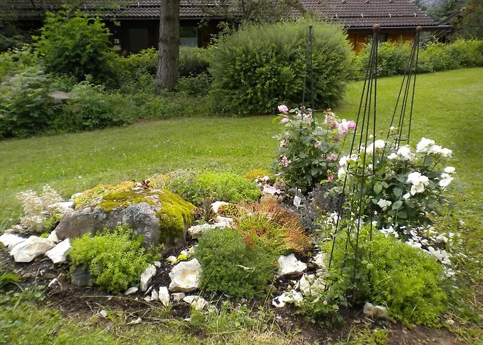 Meiss Дом отдыха *